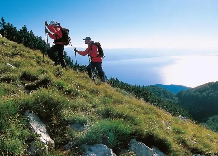 Lejlighed Lauro Opatija, Ground Floor, Parking, Near Sea